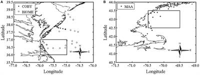 Satellite Observations of Phytoplankton Functional Type Spatial Distributions, Phenology, Diversity, and Ecotones